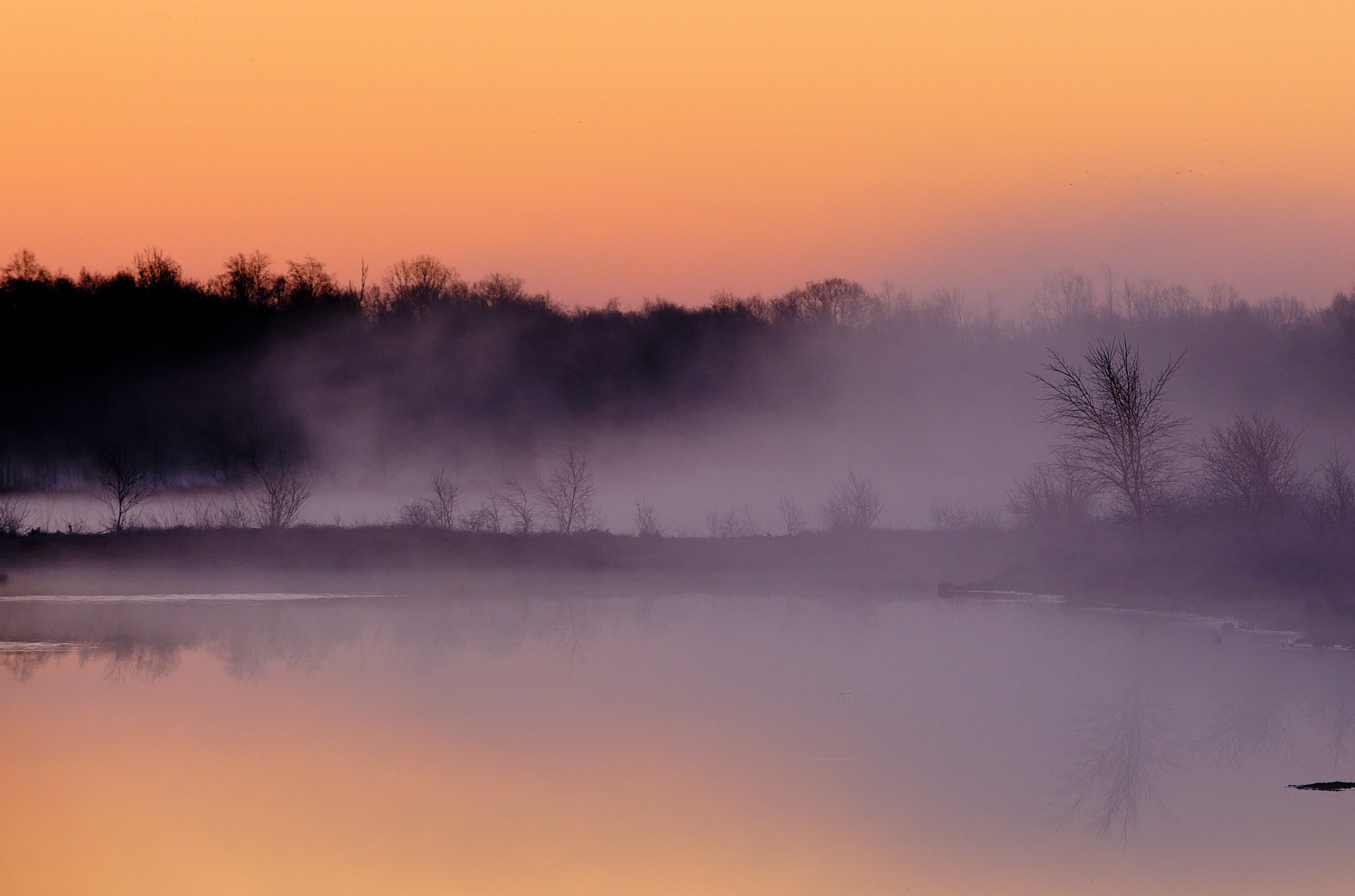 22 03 19 xt3  DSF6696