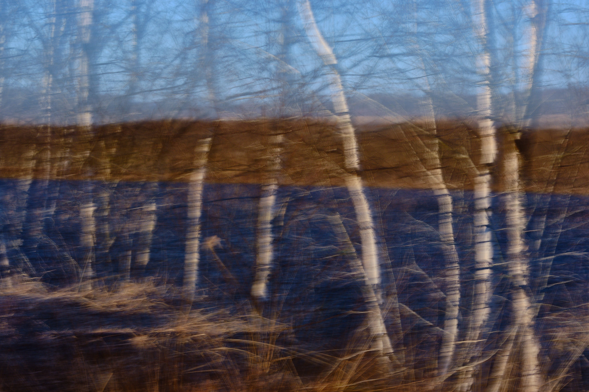 22 03 19 xt3  DSF7114