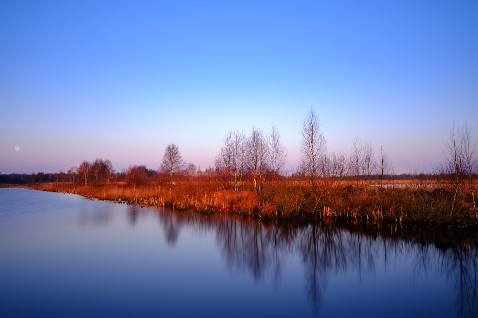 22 03 20 xt3  DSF7600