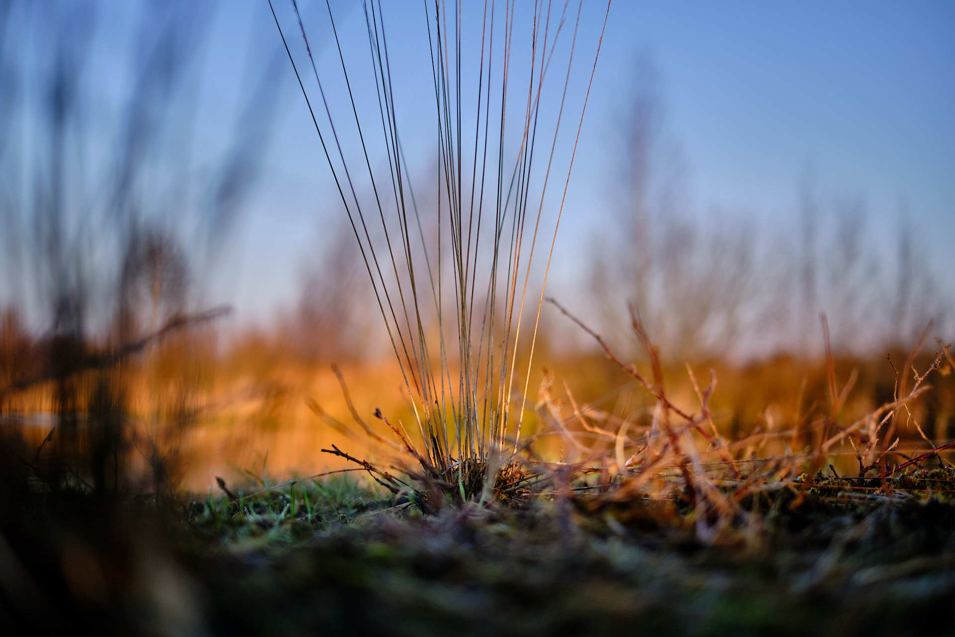 22 03 20 xt3  DSF7683