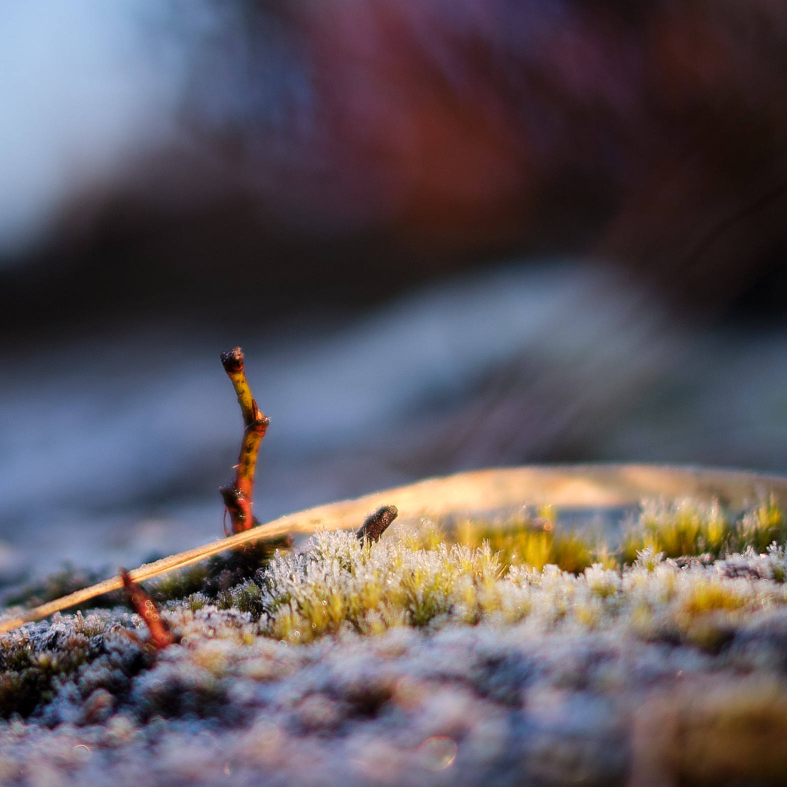 22 03 20 xt3  DSF7808