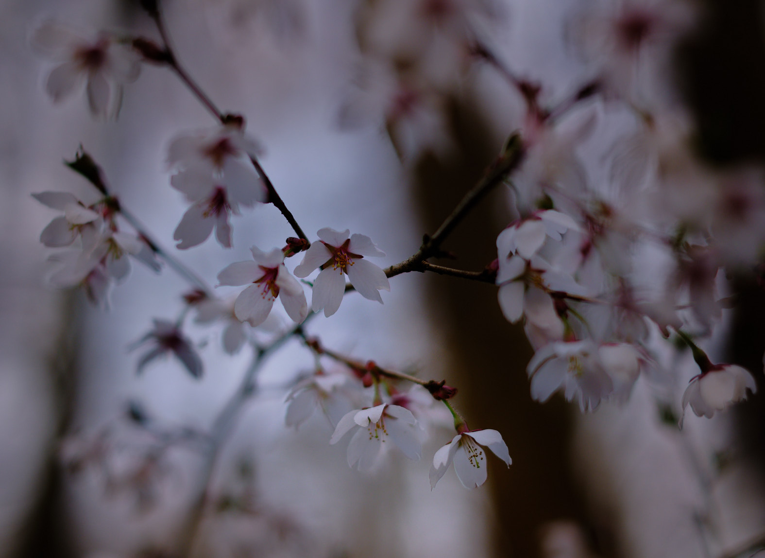 22 03 29 xt3  DSF8006