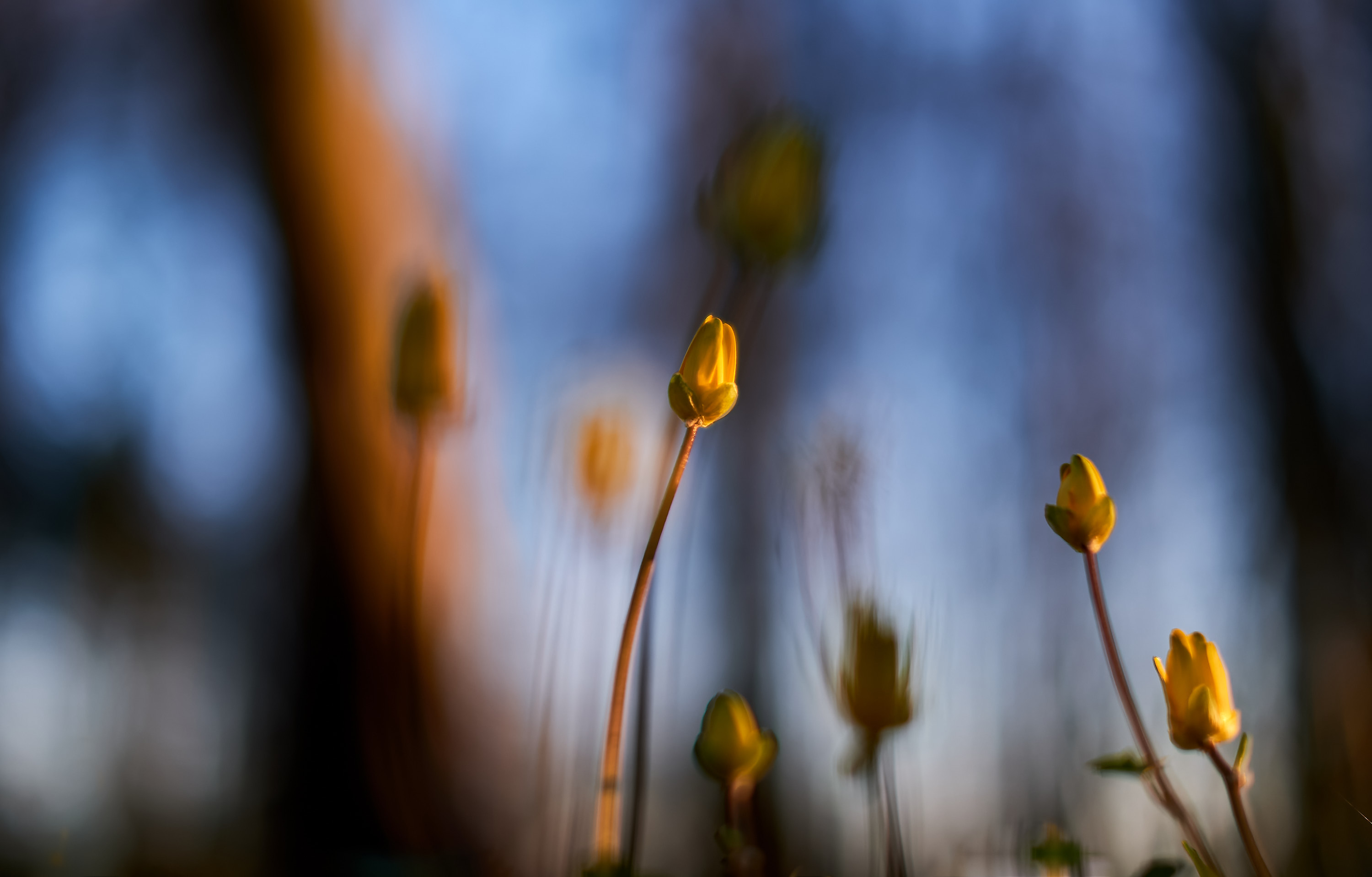 22 04 17 xt3 22 04 17 xt3  DSF8756 RAF DxO DeepPRIME