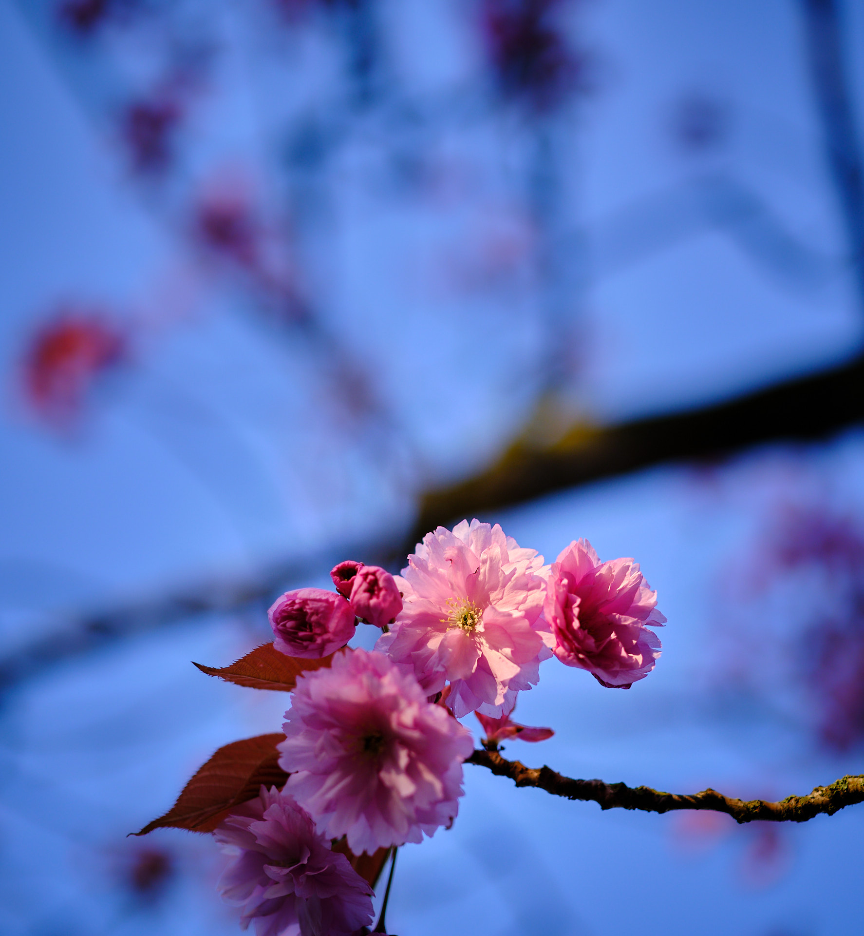 22 04 27 xt3  DSF9187