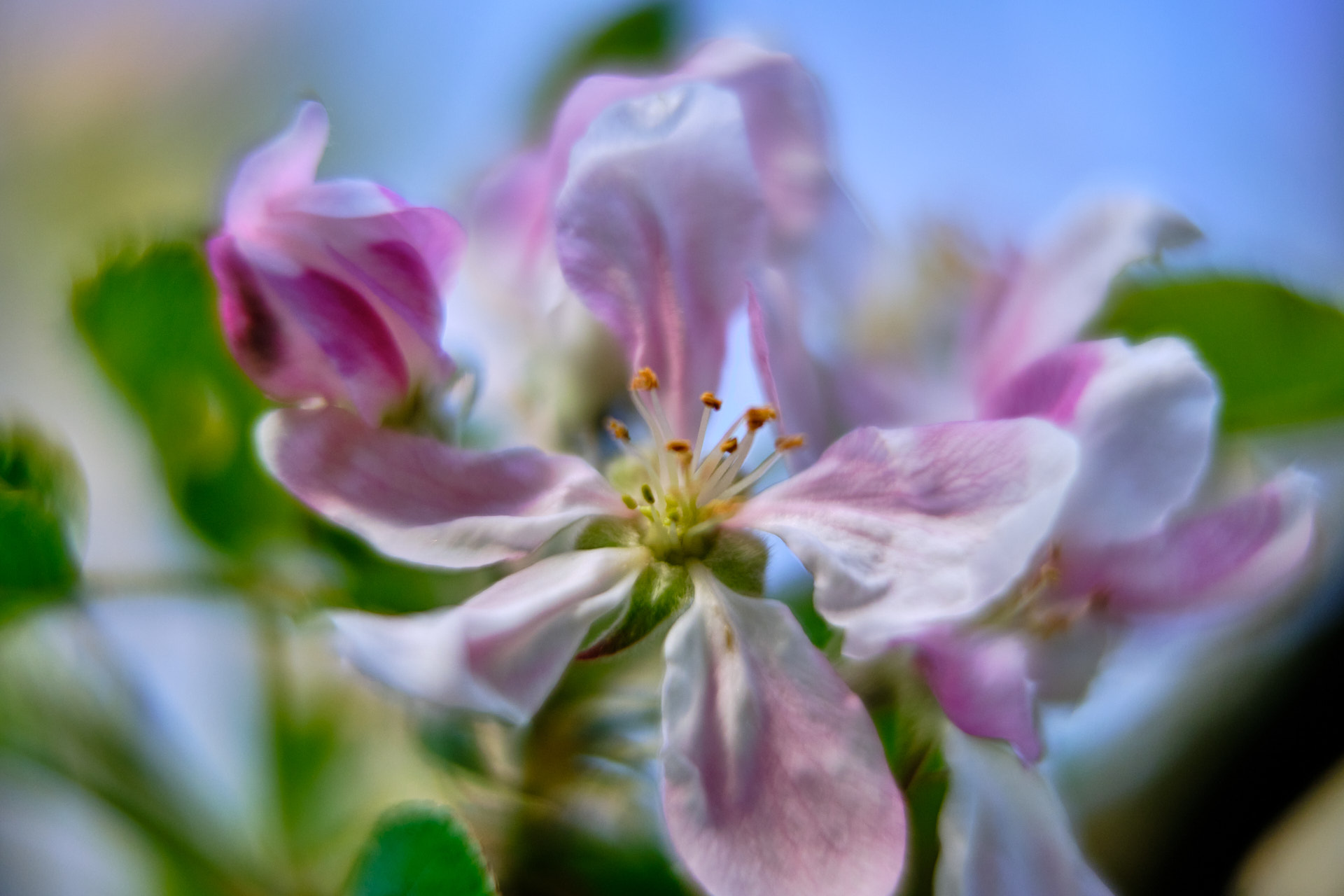 22 05 04 xt3  DSF9262