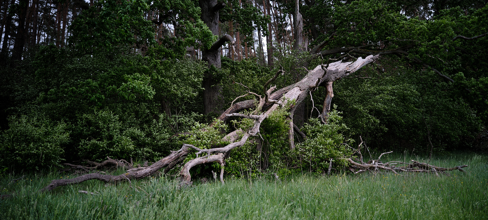 22 05 21 xt3  DSF9743