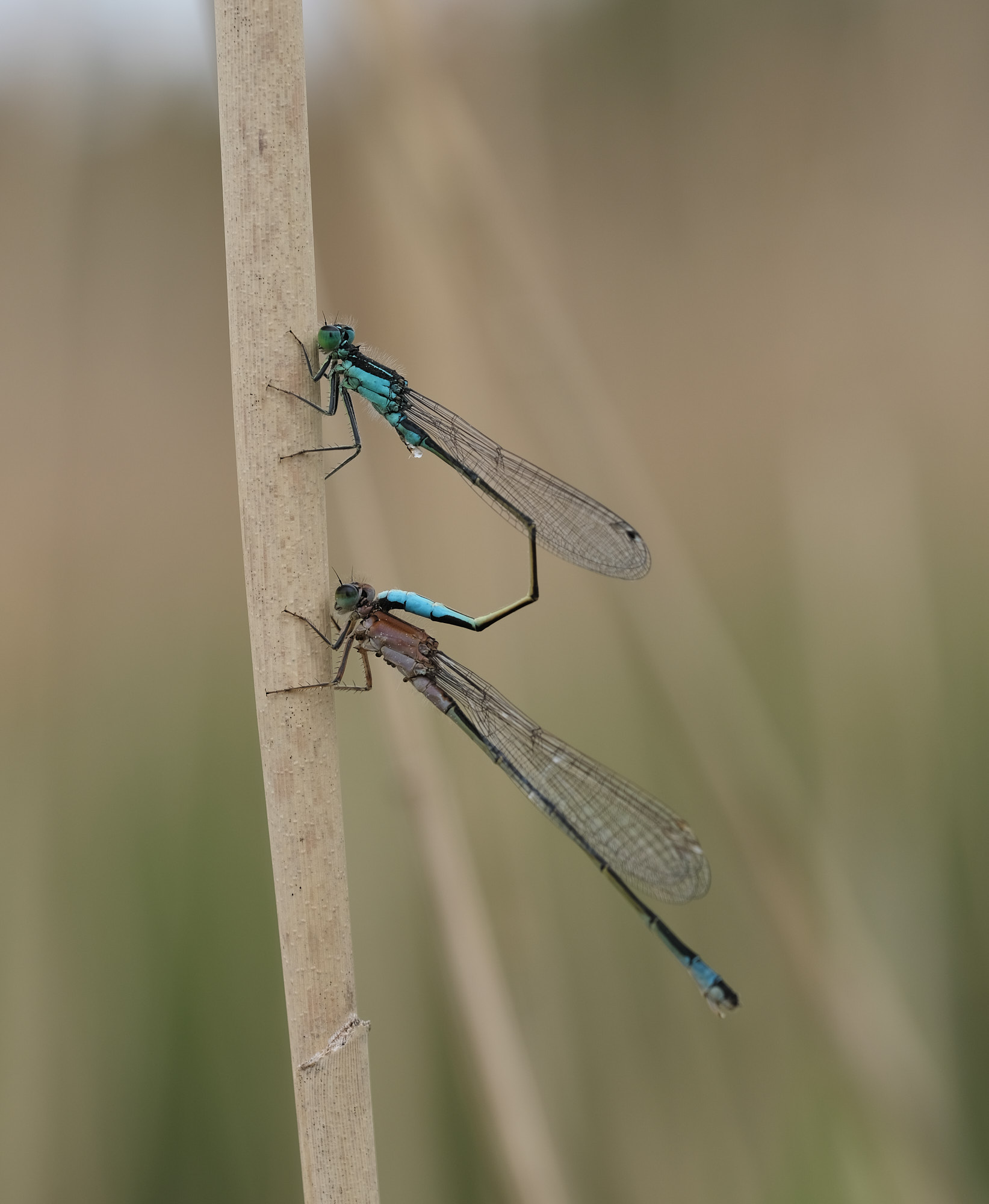 22 05 22 xt3 DSCF2885