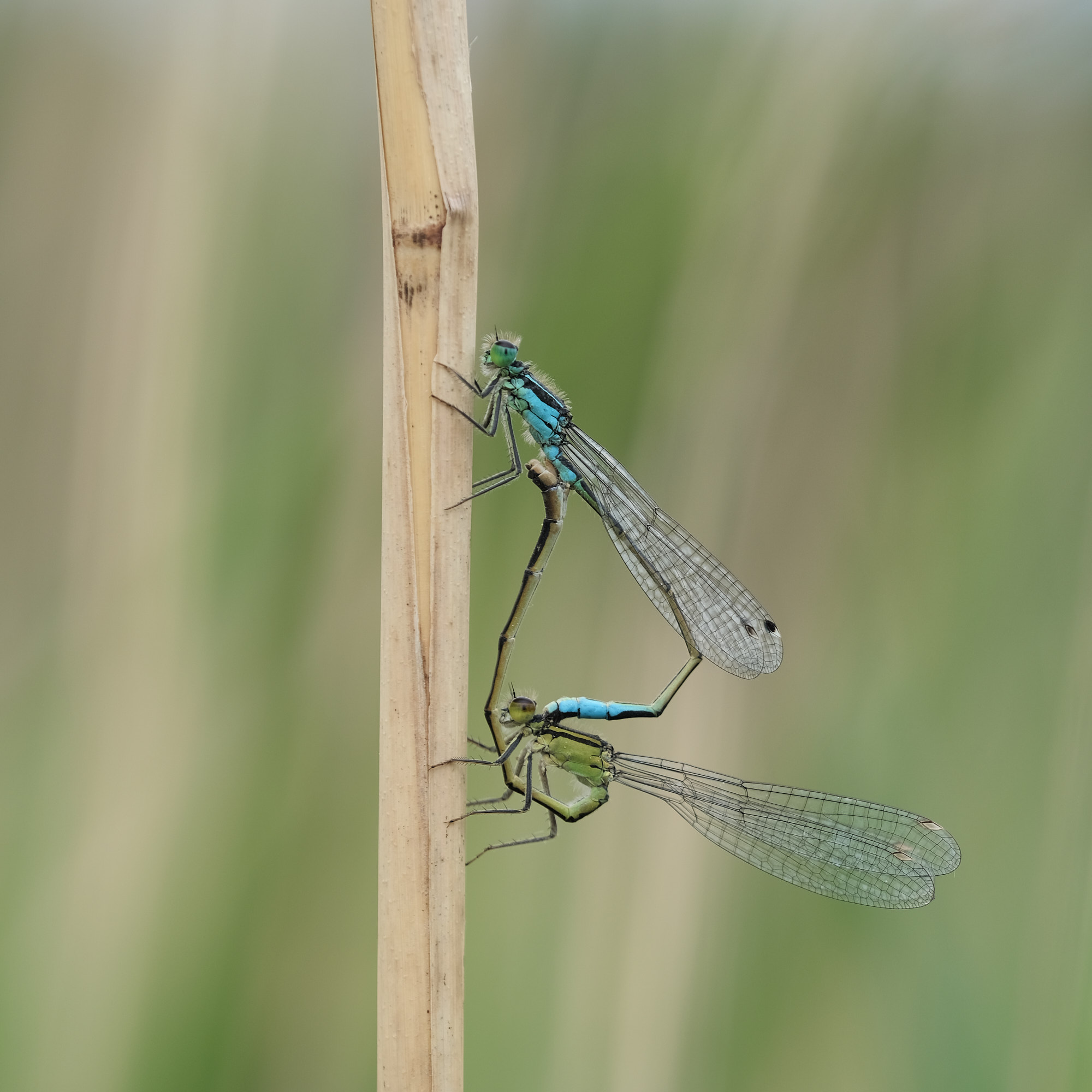 22 05 22 xt3 DSCF3091