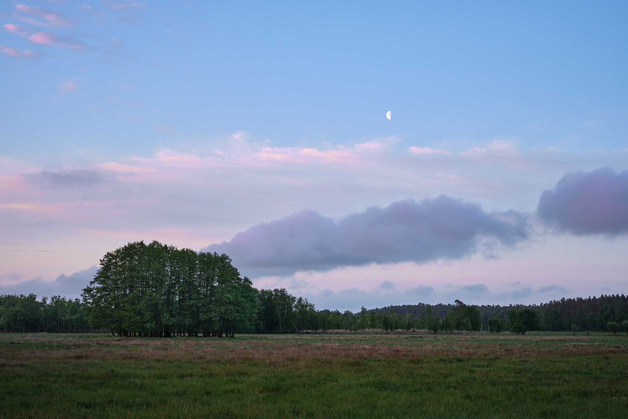 22 05 22 xt3  DSF1407