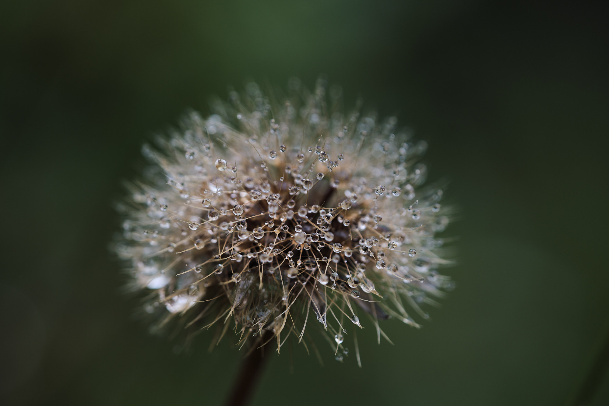 22 08 07 xt3 DSCF6121