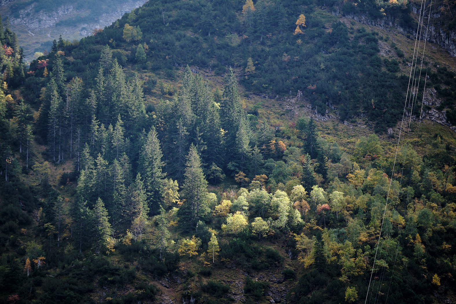 21 10 02 xt3  DSF8113