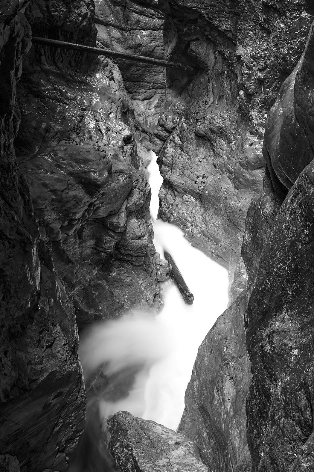 21 10 03 x100F  DSF55591