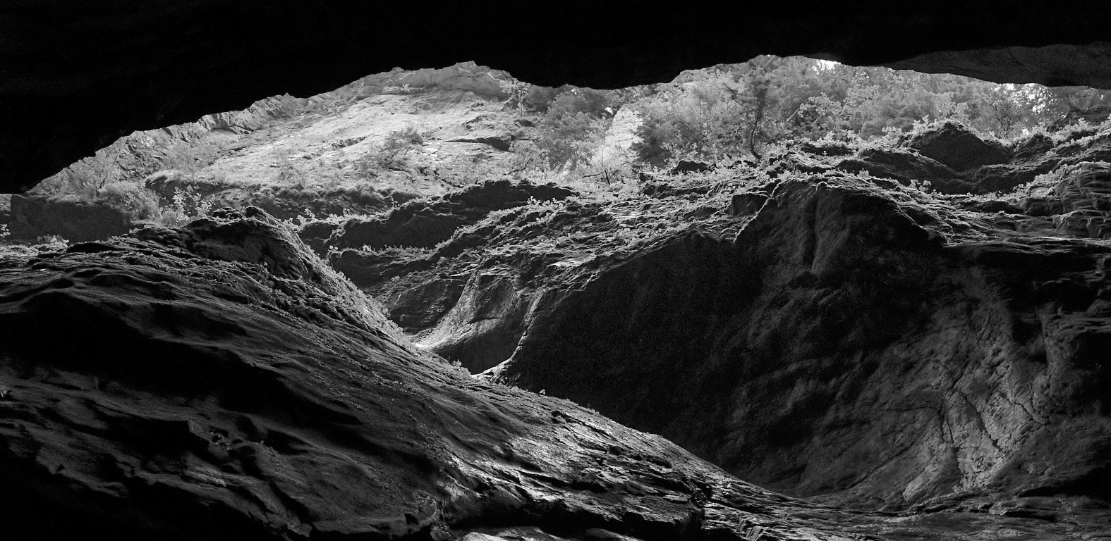 21 10 03 x100F  DSF5585