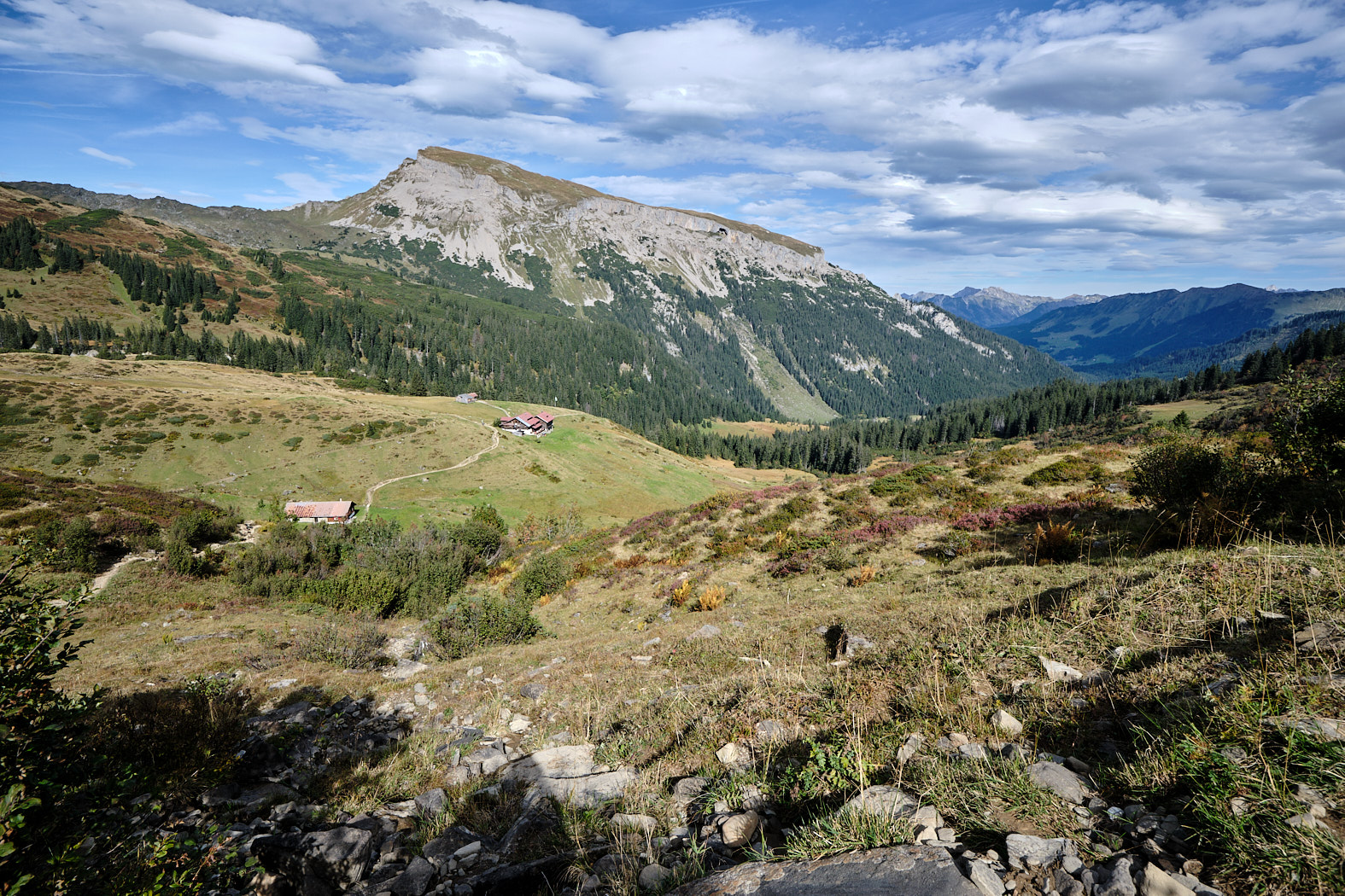 21 10 03 xt3  DSF8301