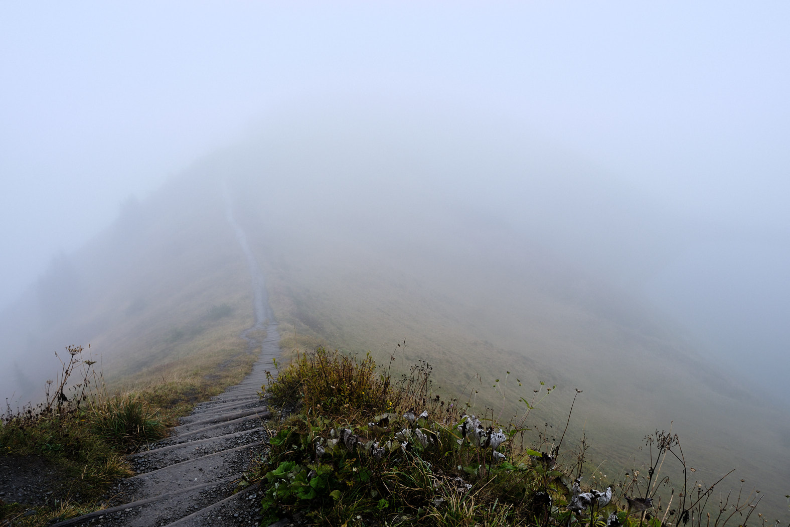 21 10 05 xt3  DSF8545