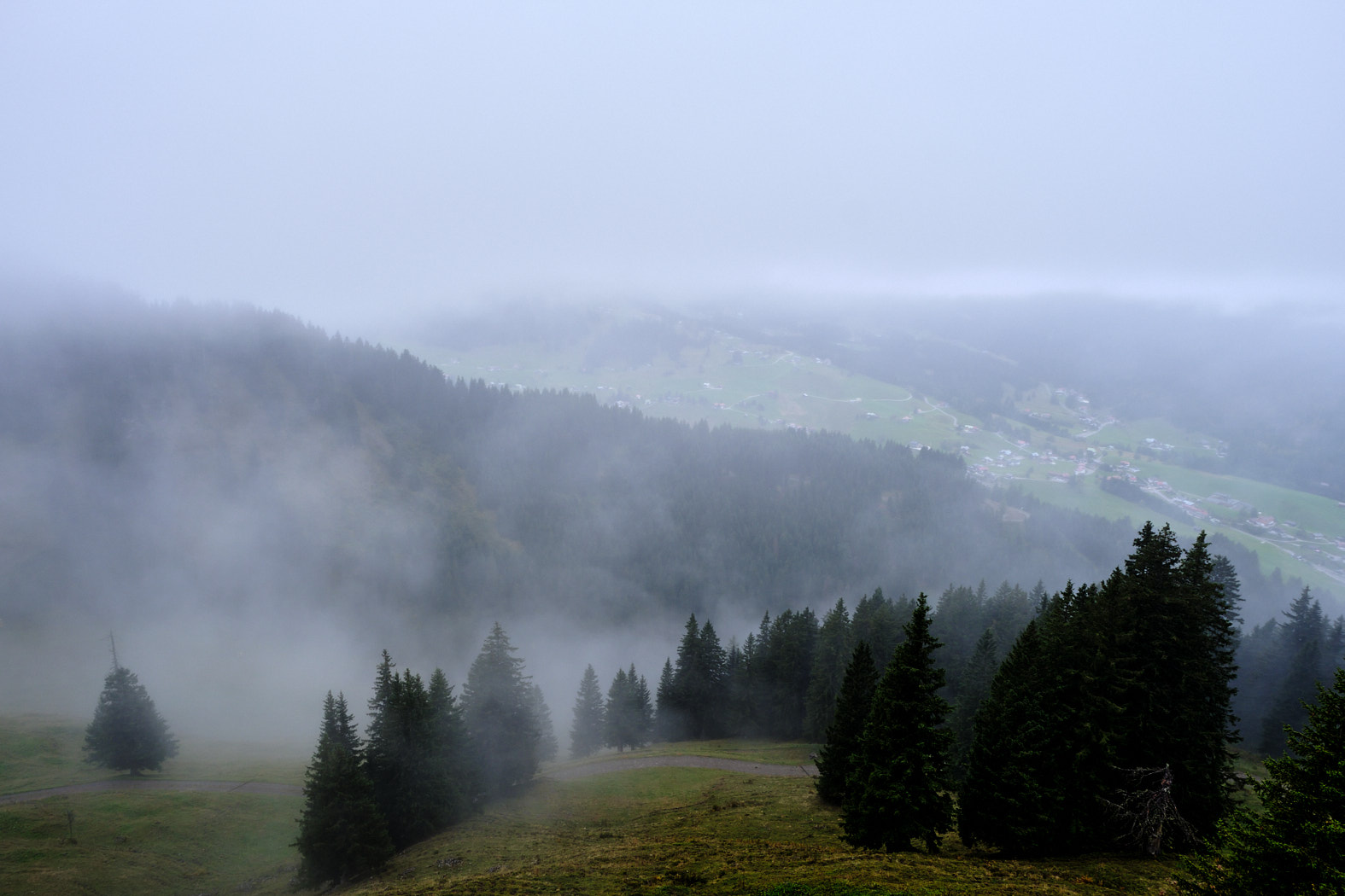 21 10 05 xt3  DSF85551