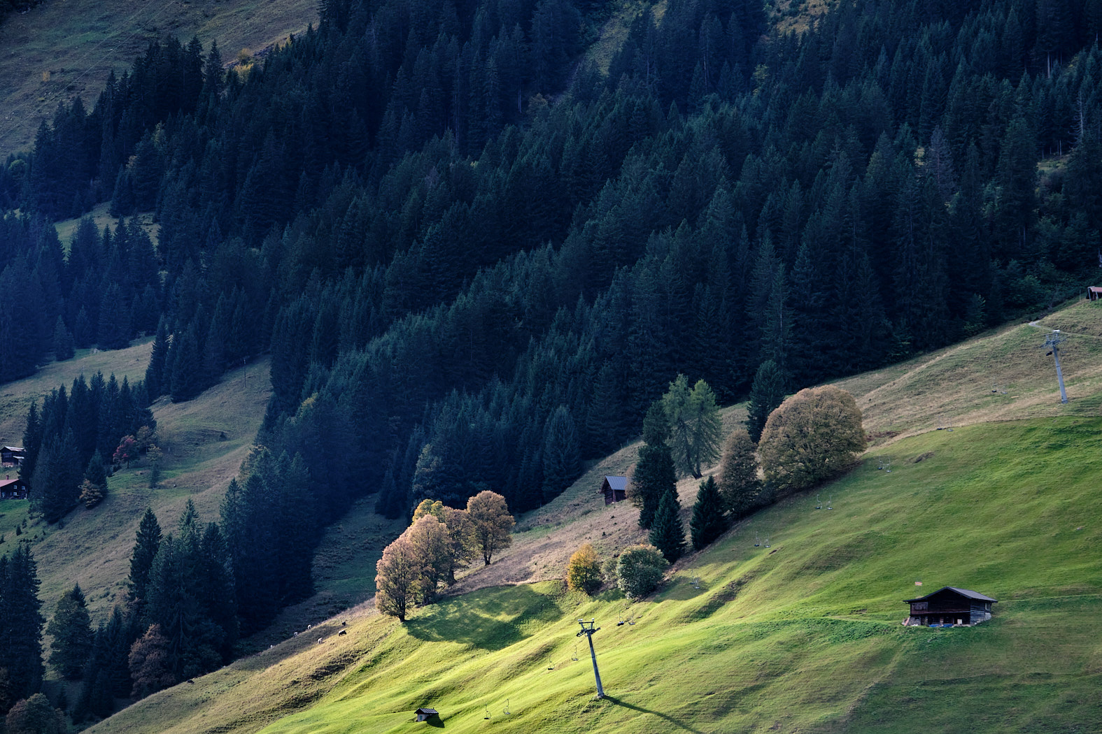 21 10 06 xt3  DSF9186