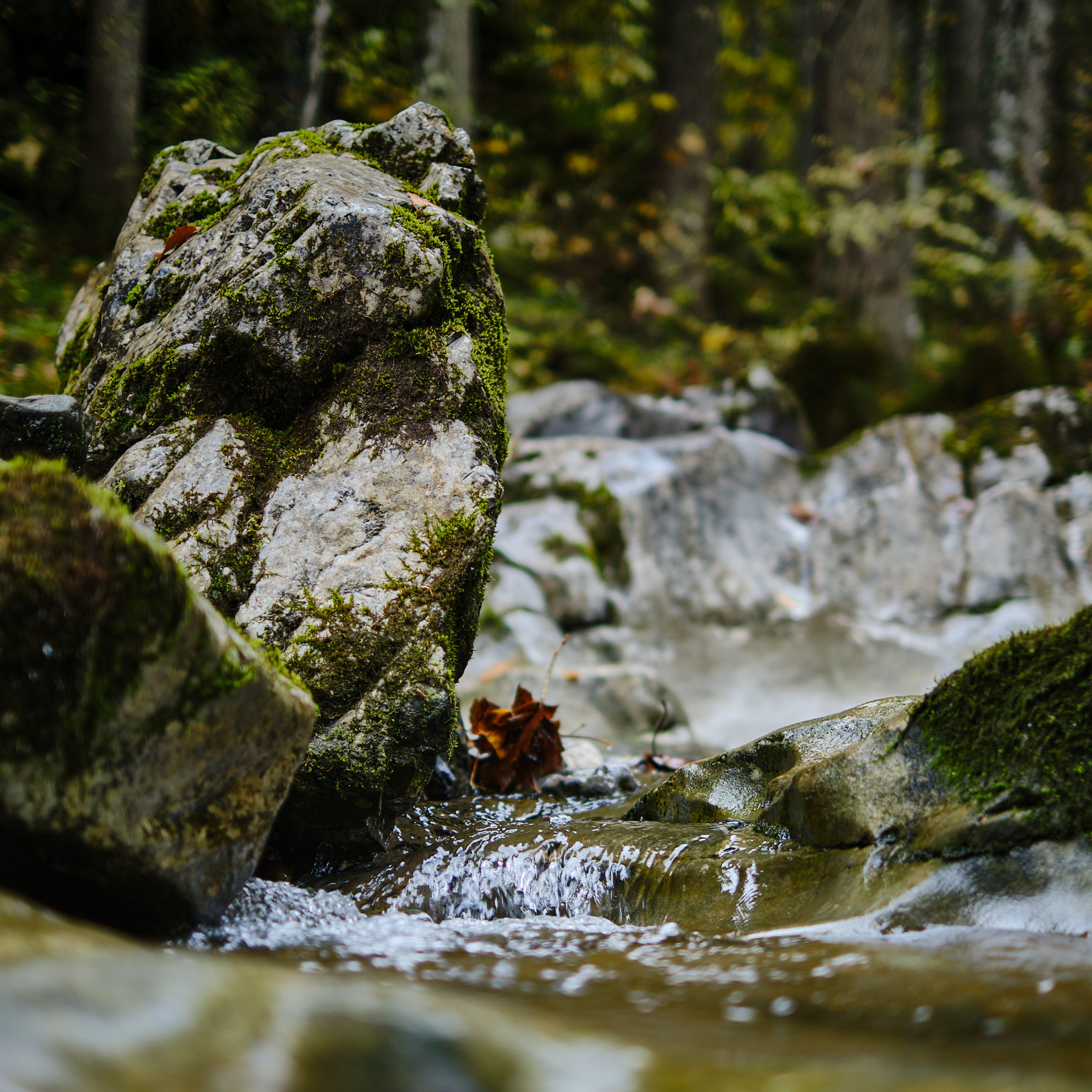 21 10 07 xt3  DSF9556