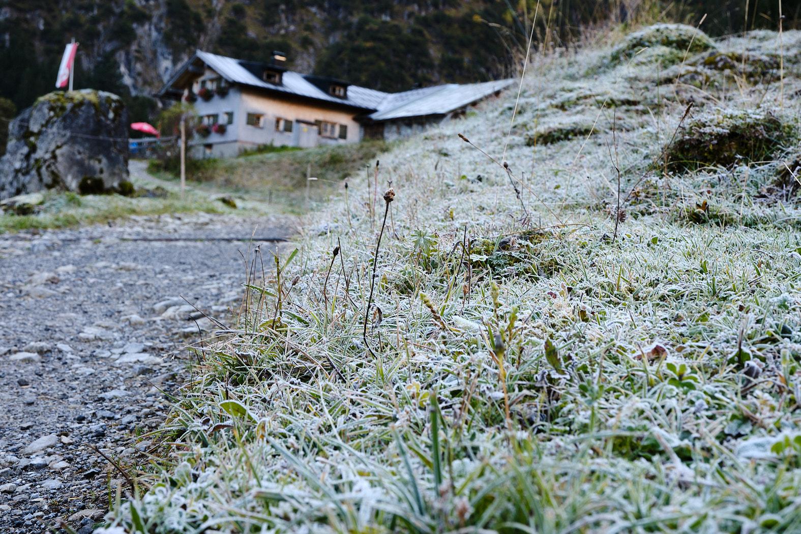 21 10 09 xt3  DSF1549