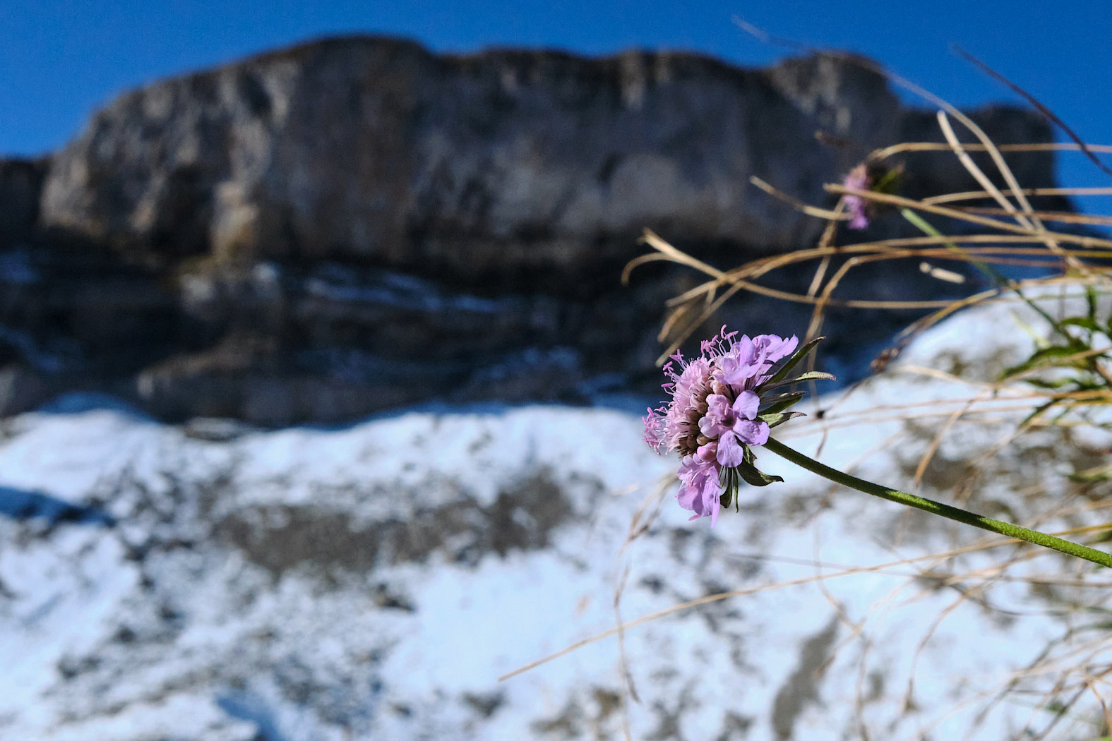 21 10 10 xt3  DSF3062