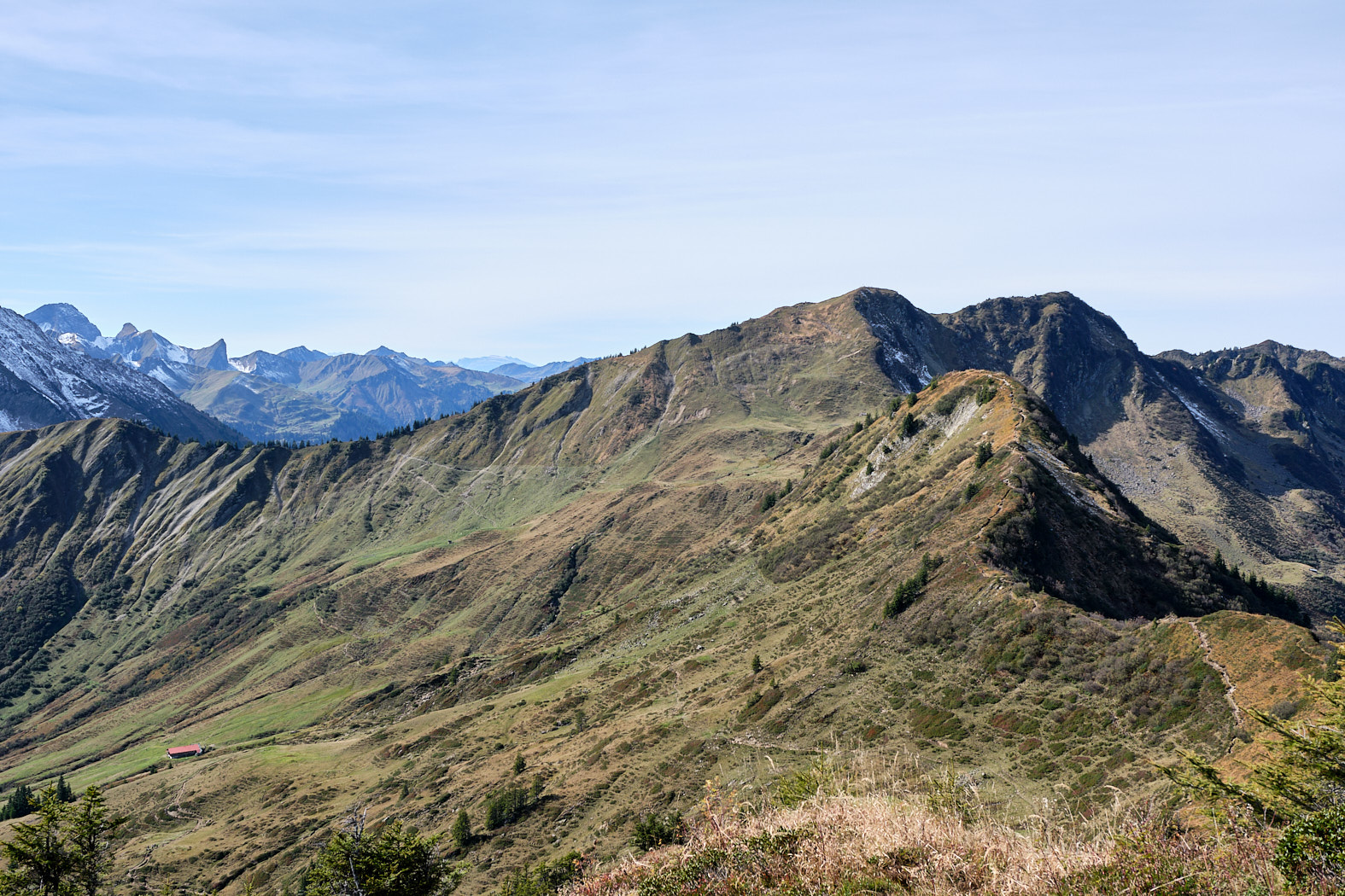 21 10 11 xt3  DSF4614