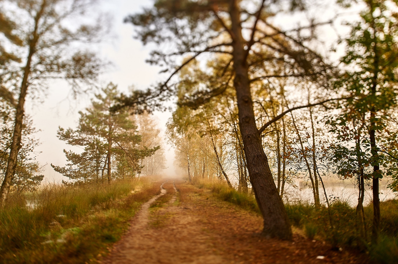 2008 09 27 4049 d500.1600